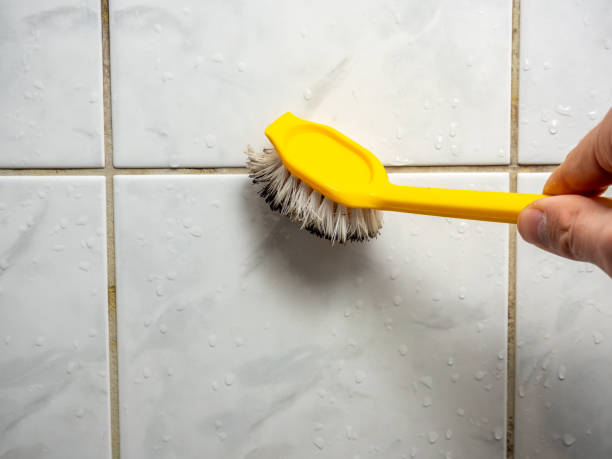 Best Mold Removal Near Me  in Hastings, MI