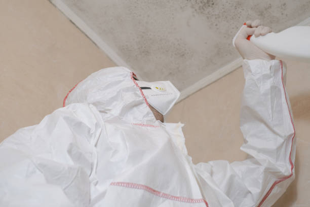 Best Certified Mold Removal  in Hastings, MI